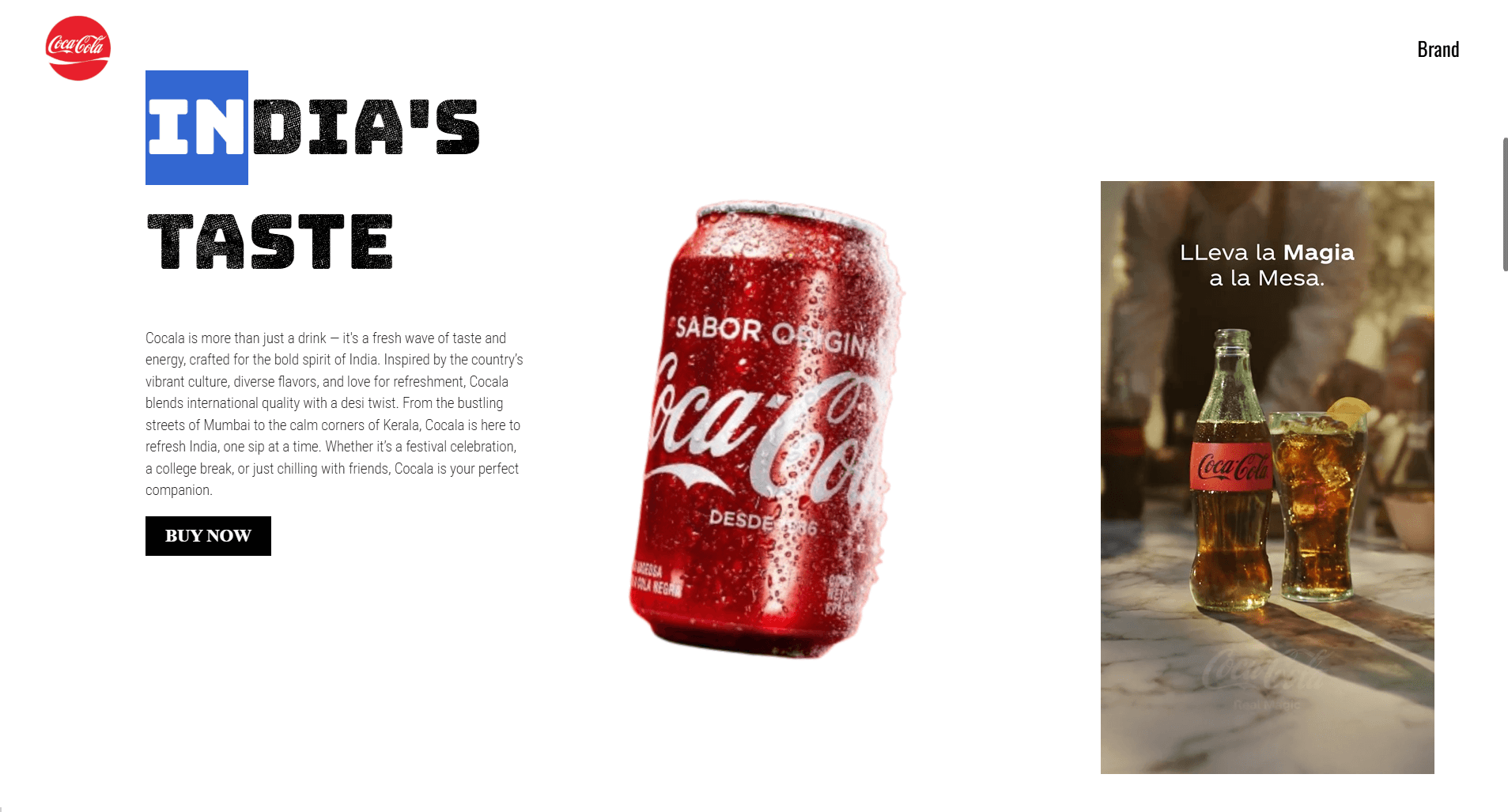 Coca Cola website redesign project screenshot 2